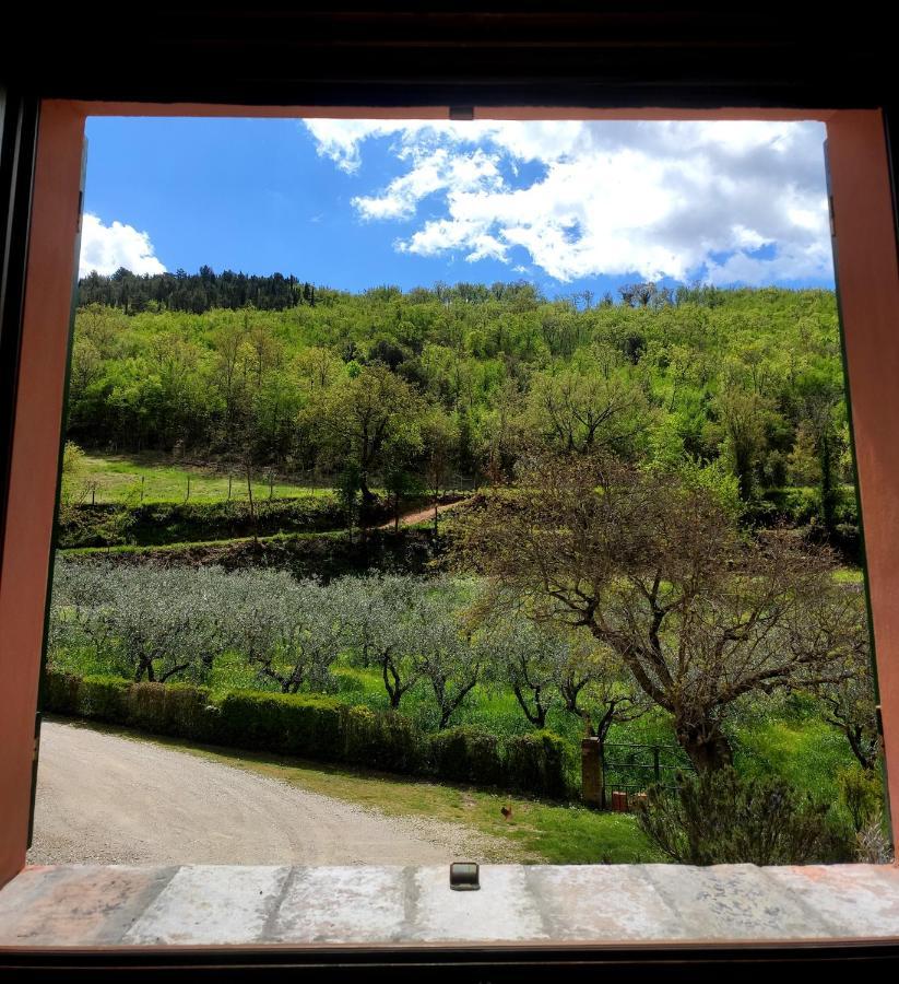 B&B I Martelli Trevi Luaran gambar